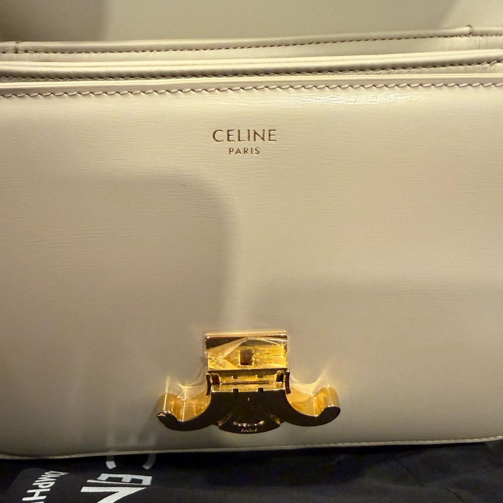 Celine Triomphe Bag in Shiny Calfskin - Picture 14 of 16